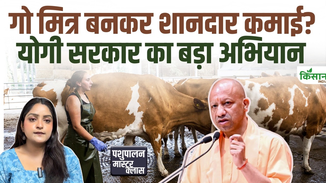 10000 Youths In Up Get Employment They Serve Cows As Go Mitras Learn All About Scheme