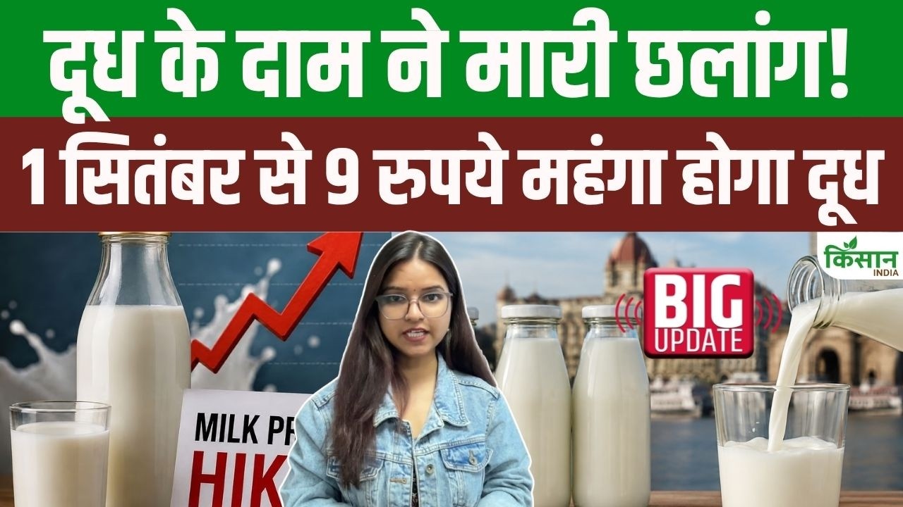 Inflation Shock Ahead Of The Festive Season Milk Cost 9 Rupee More From September 1 Check The New Rate