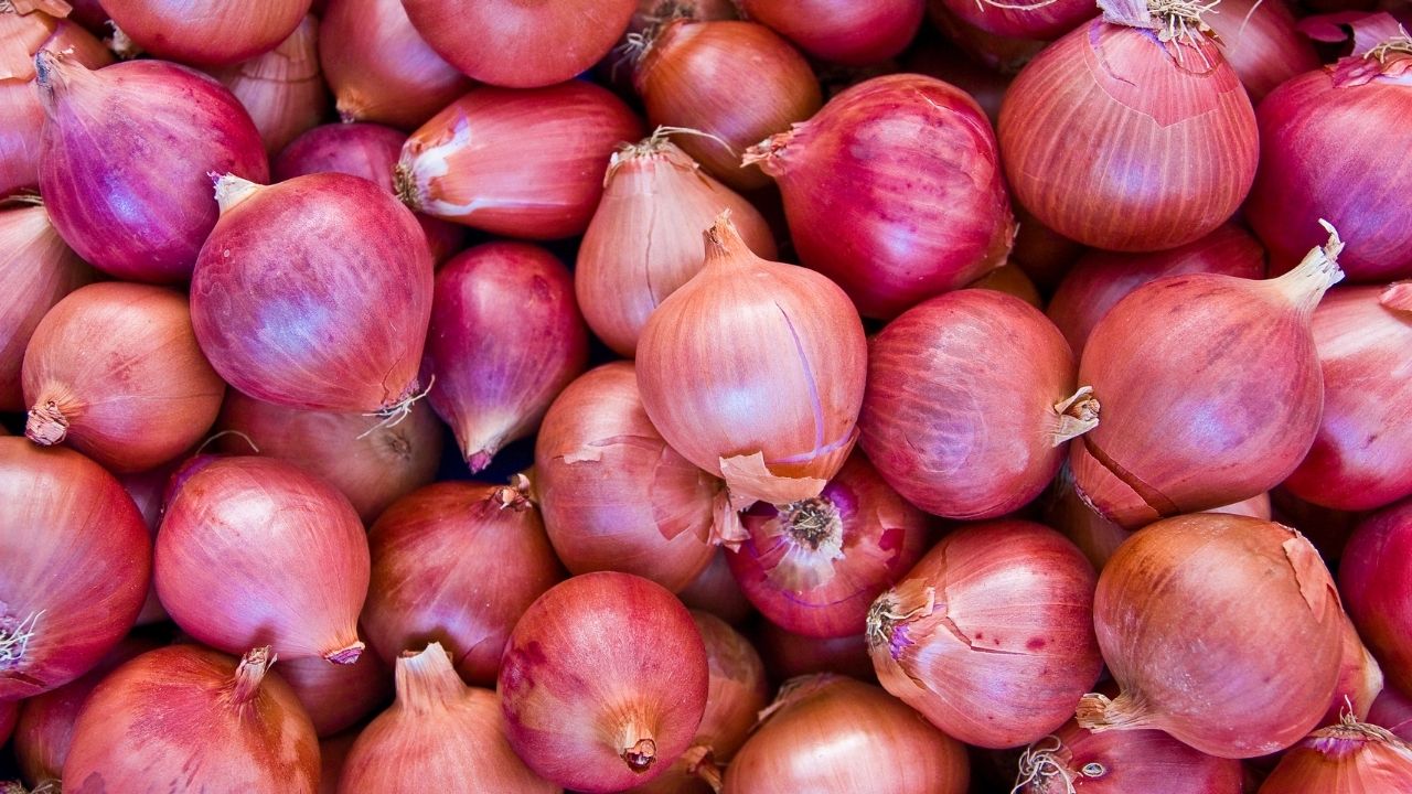 Government Onion Sale At Rs 35 In Delhi At 40 Places Check Where To Buy