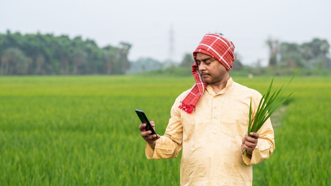 Gujarat Digital Crop Survey Starts From August 15 45 Day Campaign Farmers Can Register Via App