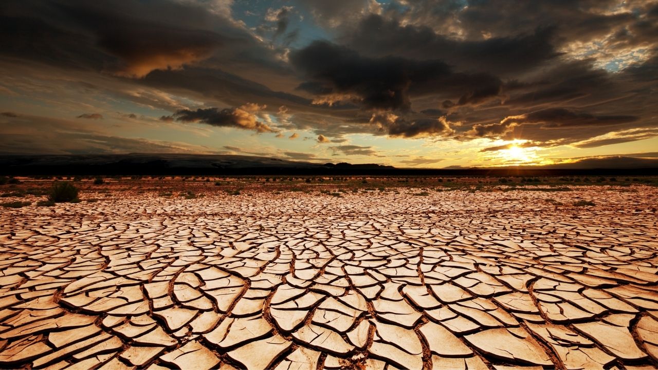Kharif Crops 2026 Drought Stress In 64 Percent Agricultural Area India Amid Rainfall Deficit