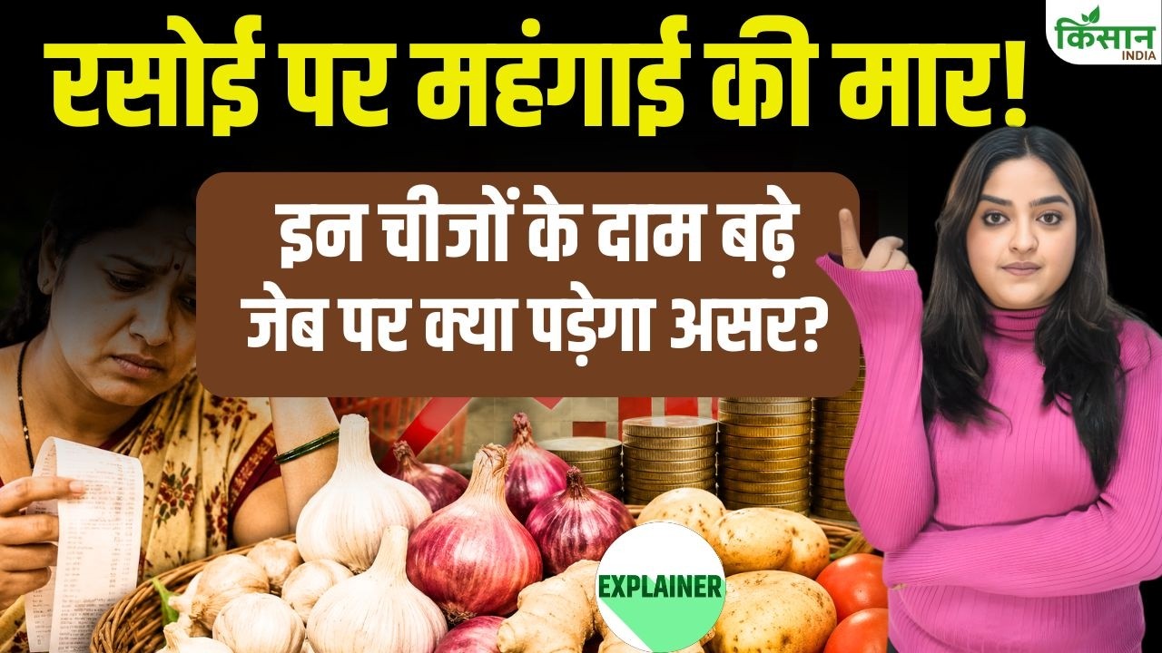 Fresh Blow From Inflation Inflation Stood At 4 45 Percent In July Onion And Garlic Prices Disrupted Kitchen Budget