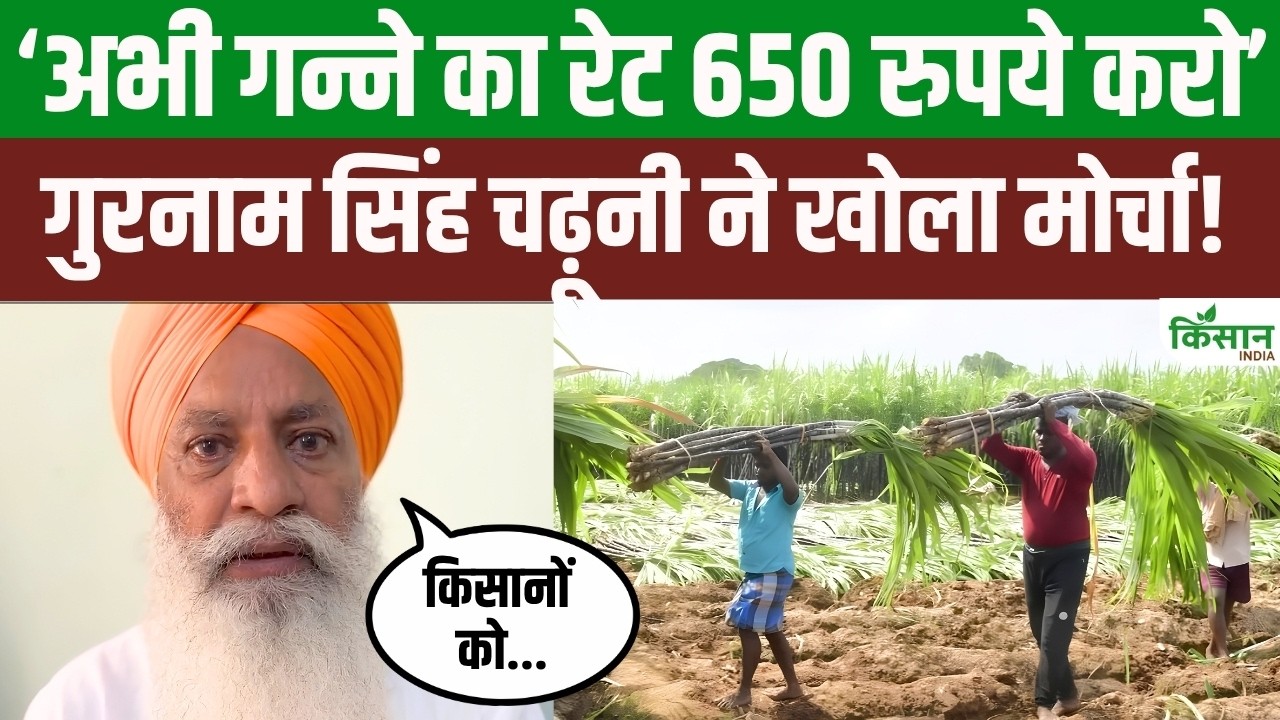 Amid Hike In Sugar Prices Gurnam Singh Charuni Makes Statement Demanding That Sugarcane Rate Fixed Before Next Sowing Season