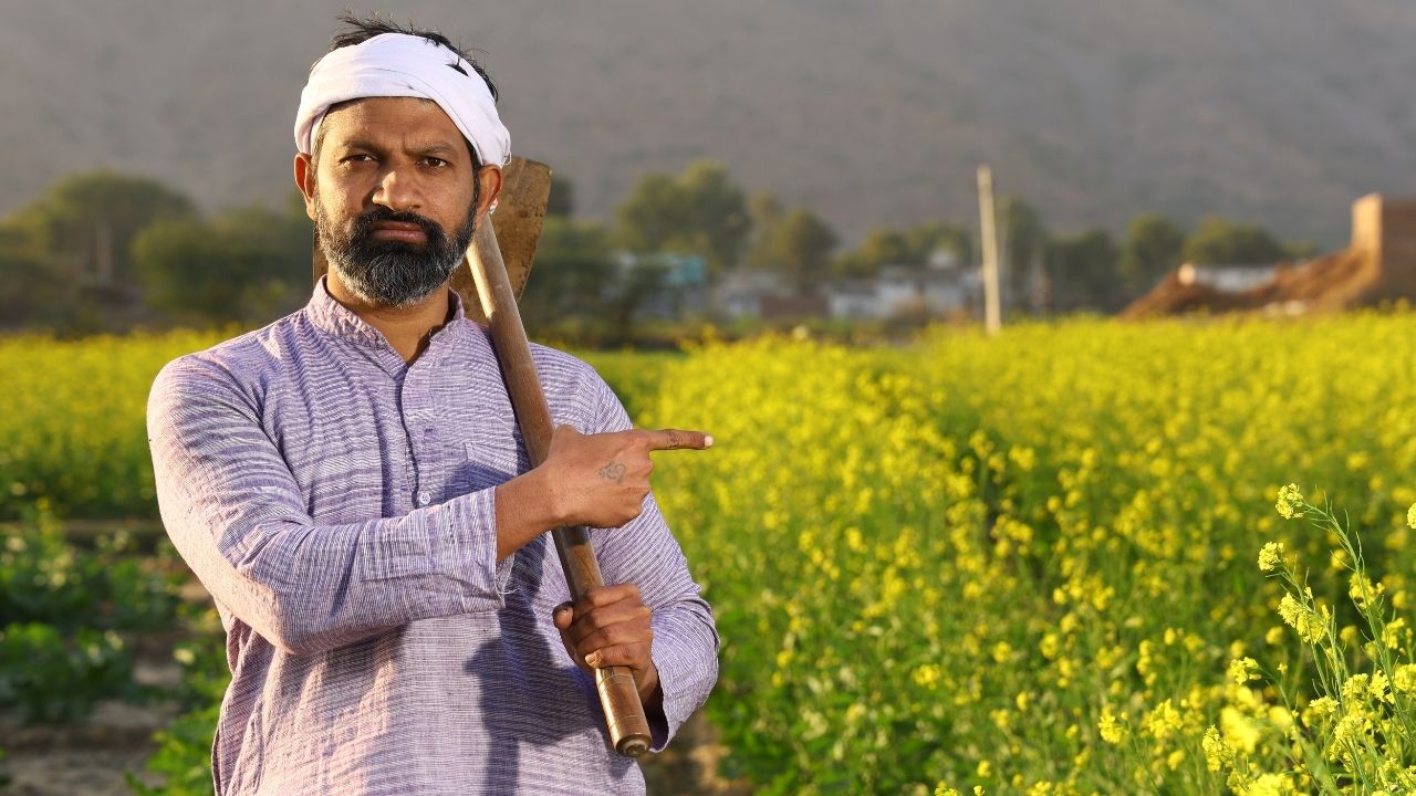 Pmfby Himachal Pradesh Paddy Maize Crop Insurance Last Date August 15 2026