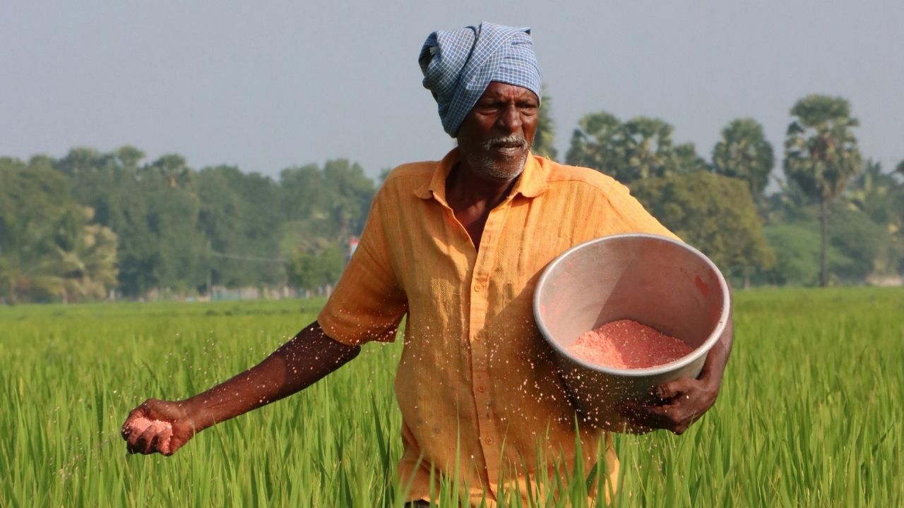 राजस्थान के किसानों के लिए बड़ी राहत! अब खाद के लिए नहीं लगानी होगी लाइन, ऑनलाइन बुकिंग शुरू