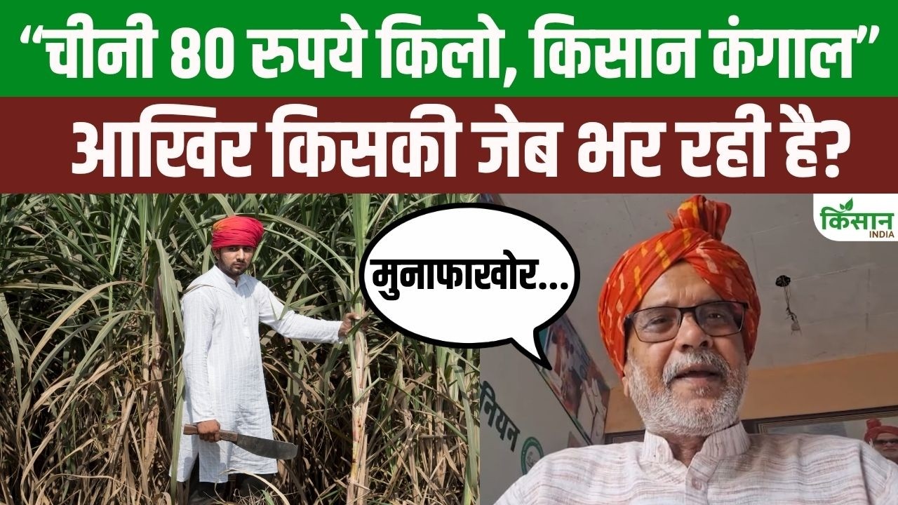 Sugar Is 80 Per Kg Yet Sugarcane Farmers Are In Distress Farmer Leader Asks Whose Pockets Are Being Lined