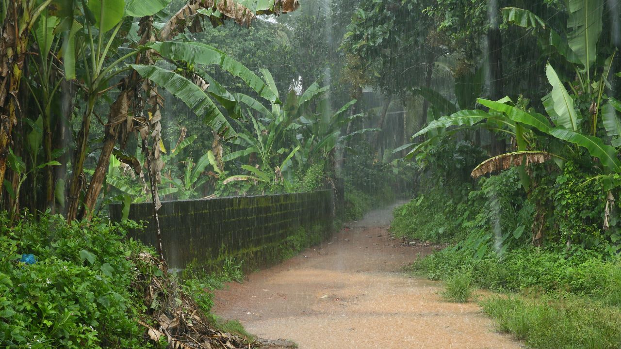 Heavy Rain Alert Issued For 23 States On August 26 Winds Expected To Reach 80 Kmph In Bihar