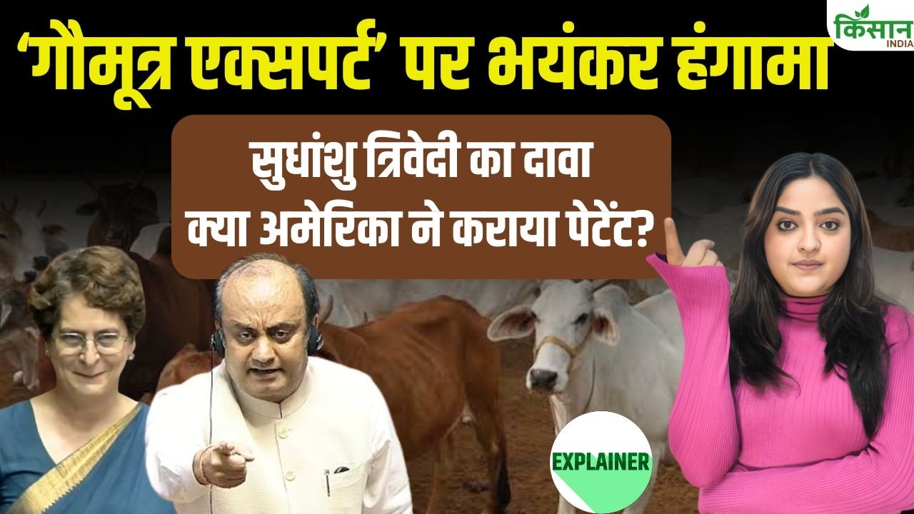 Priyanka Gandhi के ‘गौमूत्र एक्सपर्ट’ बयान पर Sudhanshu Trivedi का पलटवार, पेटेंट विवाद की पूरी सच्चाई आई सामने