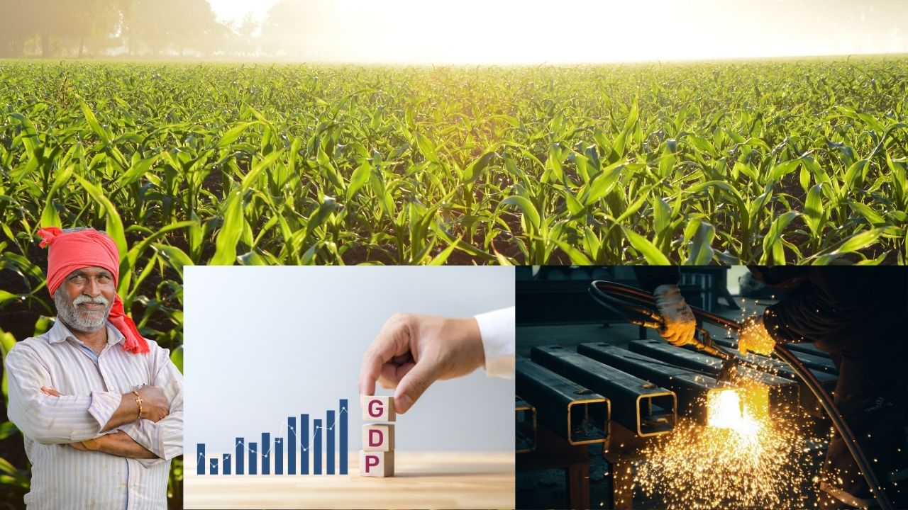 India Economy Gdp Growth Reached 7 Point 8 Percent Agriculture Boosting The Economy
