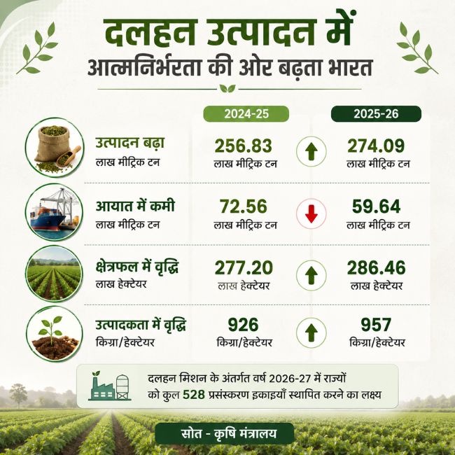 India pulses production