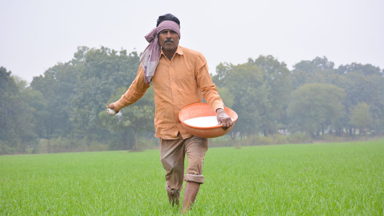 Andhra Pradesh Economy Agriculture Growth At 13 Point 5 Percent Meat And Egg Production Also Surged