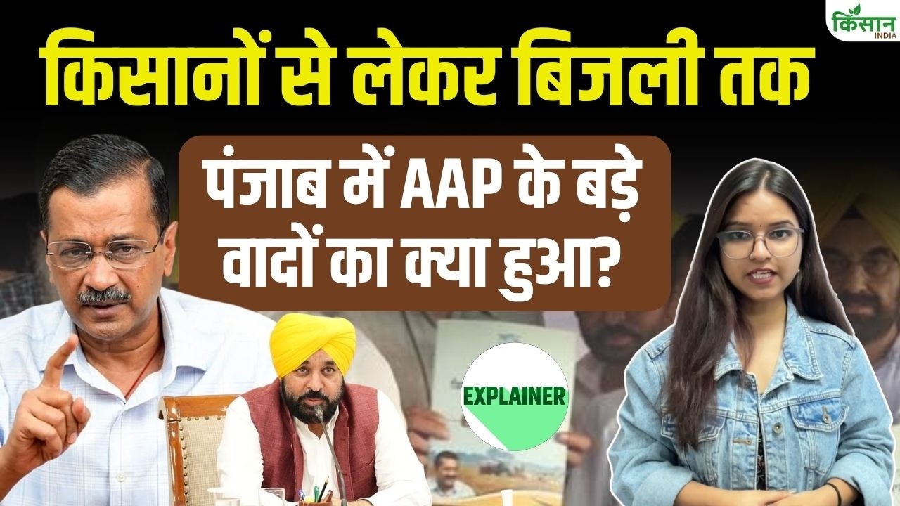 Punjab Elections 2026 Audit Of Aam Aadmi Party 2022 Promises How Many Guarantees Have Been Fulfilled