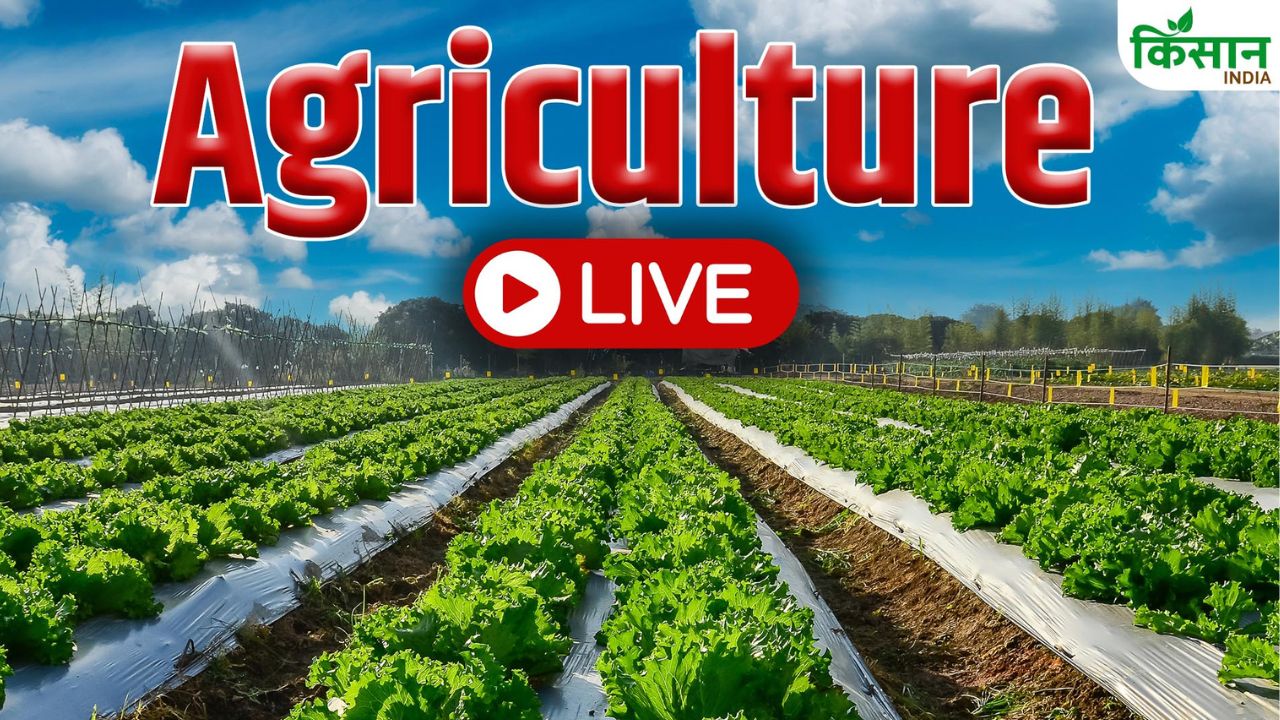 Agriculture News Live Updates 18th August 2026 Tuesday Pm Kisan Yojana Weather Updates Pm Fasal Bima Yojana Krishi Samachar Farmers Schemes Aaj Ki Latest News