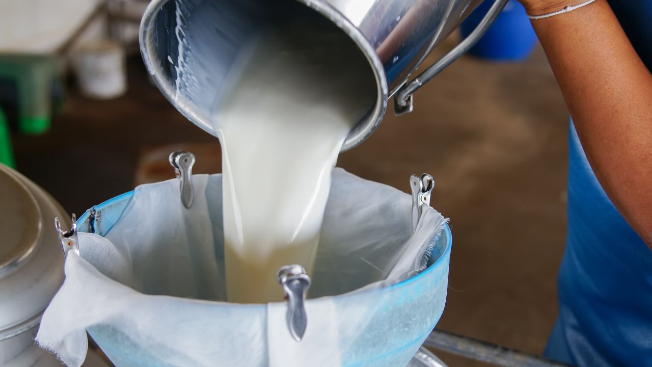 Milk Becomes Costlier In Tamil Nadu Private Vendors Hike Prices By Up To Rs 10 Per Litre