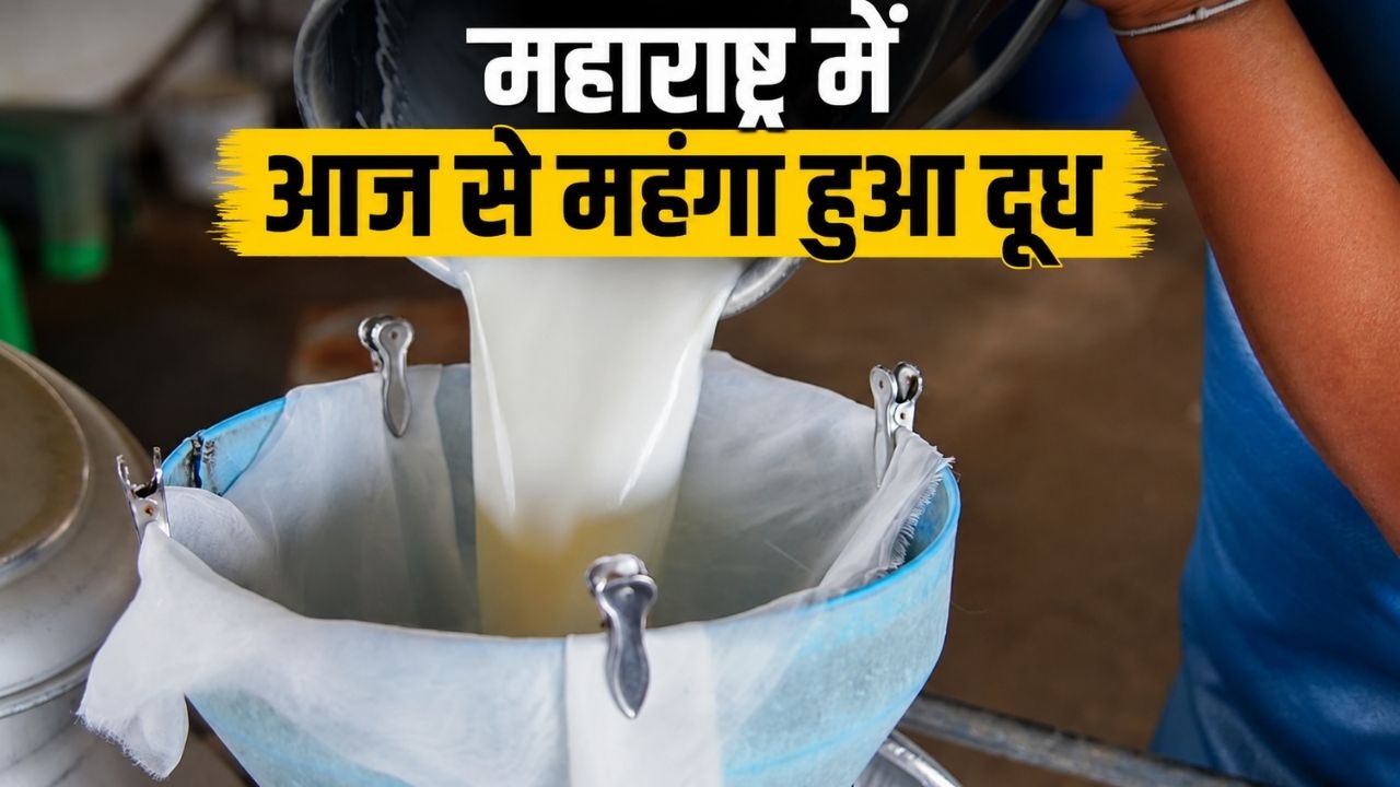 Maharashtra Milk Price Hiked By Rs 2 Per Litre From Today Check New Rates