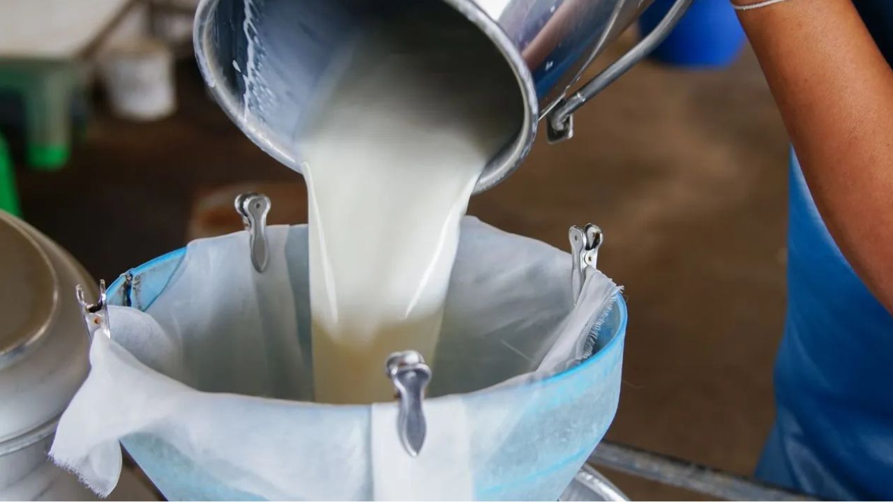 Aavin Milk Supply Delayed By 3 Hours Tamil Nadu Milk Business