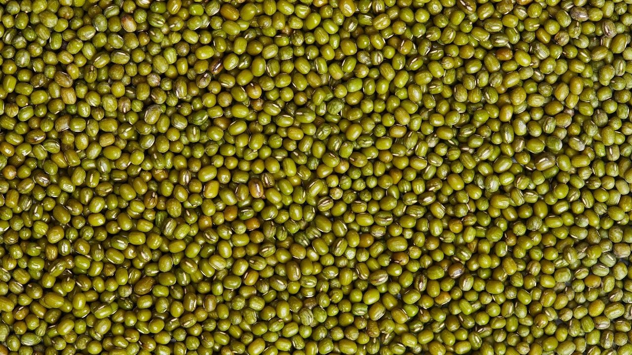 Moong New Crop Arrival Pick Up In Karnataka Mandi Bhav Farmers Get Up To 10300 Rupees