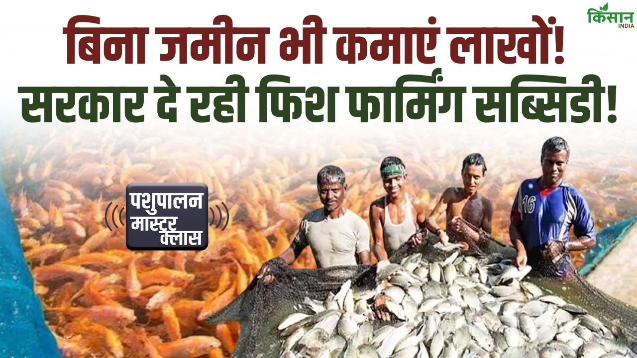 बिना जमीन शुरू करें मछली पालन का कारोबार, बिहार सरकार दे रही बड़ा अनुदान, सिर्फ 1000 में शुरुआत