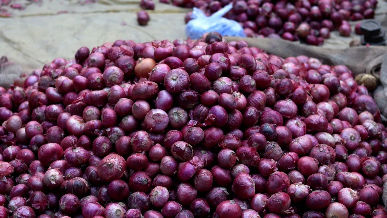 Onion Price Hike Delhi Government On Alert Action Plan To Be Prepared