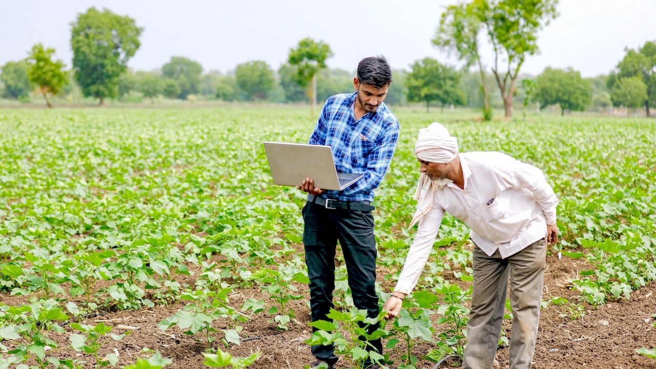 Pm Fasal Bima Yojana Crop Insurance Policies To Be Approved Only After Verification Rajasthan Government Issues New Guidelines