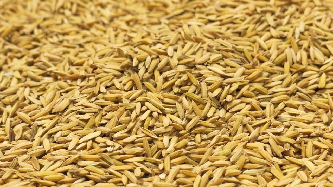 Farmers Demanded The Opening All Procurement Centers Kuruvai Cultivation In 41 Thousand Hectares