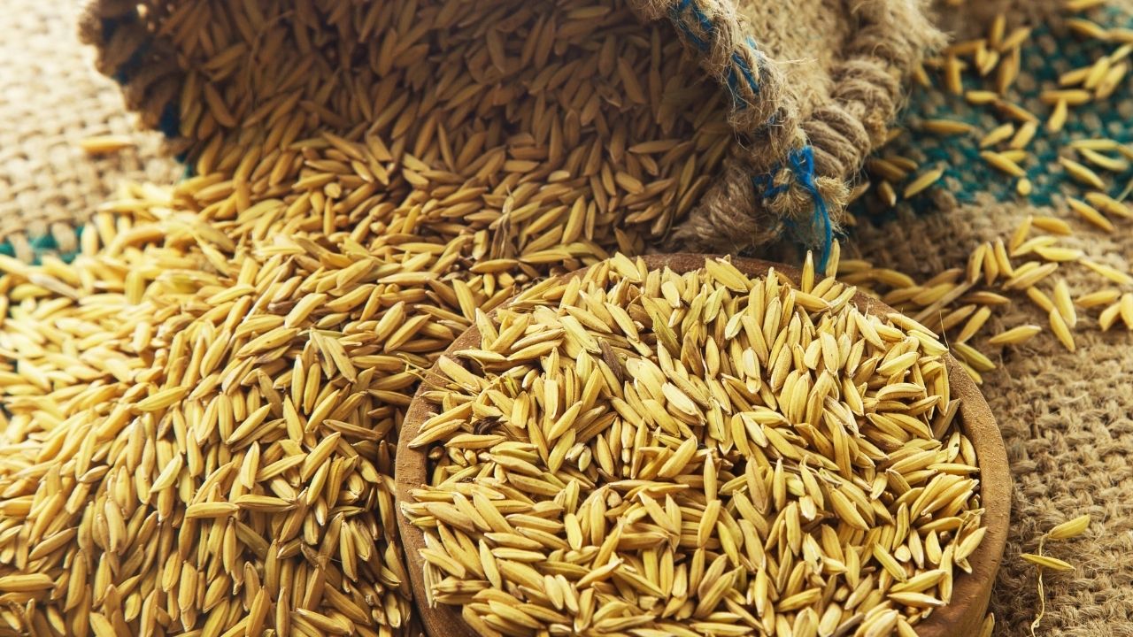 Tamil Nadu Paddy Procurement Sets New Record Surpassing 6 Point 4 Million Tonnes Farmers Earn Bumper Profits