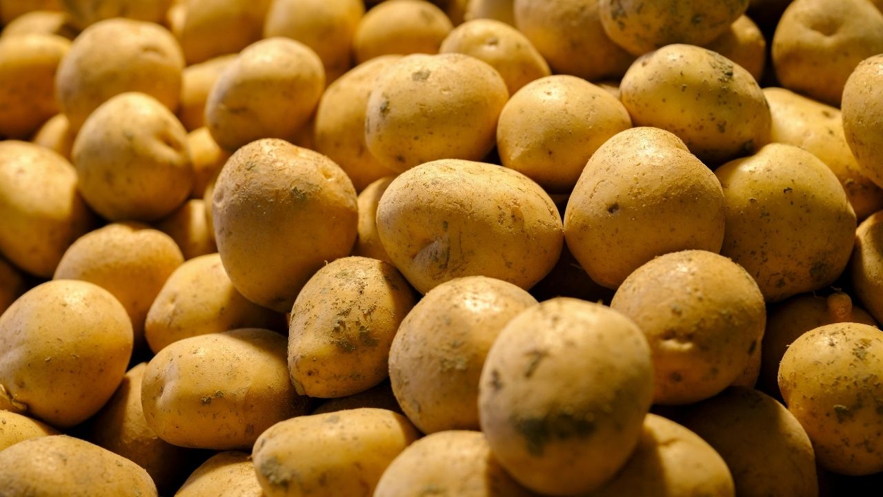 Supreme Court Verdict On Pepsico Fl 2027 Potato Variety Registration Farmers Seed Rights