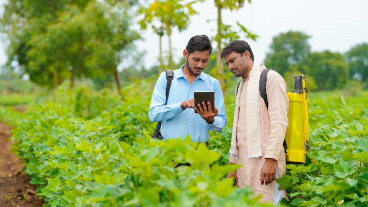 कृषि की पढ़ाई करने पर हर महीने अब 5 हजार रुपये मिलेंगे, कृषक छात्रवृत्ति योजना का विस्तार कृषि की पढ़ाई करने पर हर महीने अब 5 हजार रुपये मिलेंगे, कृषक छात्रवृत्ति योजना का विस्तार
