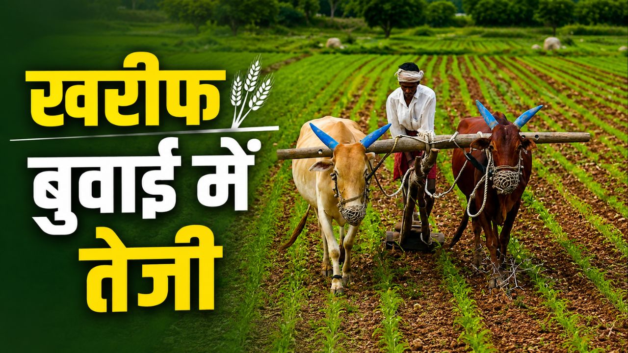 कर्नाटक में तेज बारिश से किसानों के चेहरे खिले, खरीफ बुवाई को मिली रफ्तार.. 50 फीसदी टारगेट पूरा