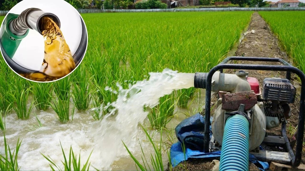 कमजोर बारिश से सिंचाई के लिए किसानों ने खूब खरीदा डीजल, 10 फीसदी बिक्री बढ़ी कमजोर बारिश से सिंचाई के लिए किसानों ने खूब खरीदा डीजल, 10 फीसदी बिक्री बढ़ी