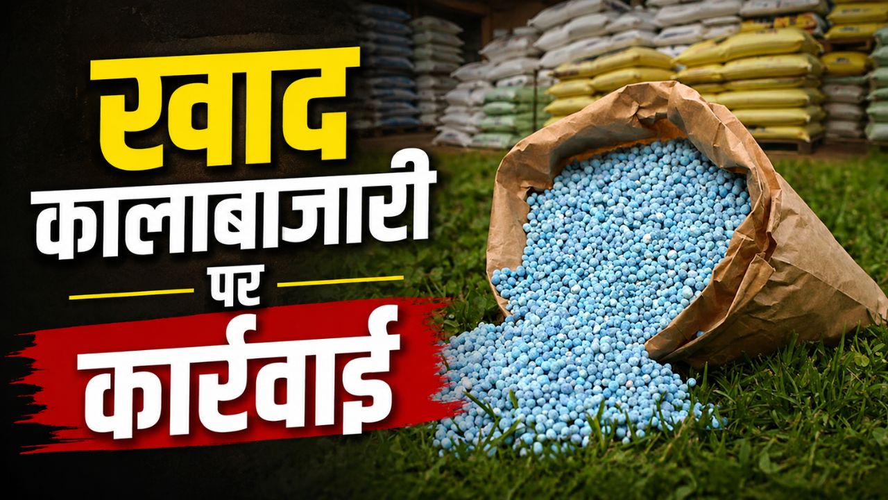 खाद कालाबाजारी पर 6 विक्रेताओं के लाइसेंस निरस्त, टैगिंग और ओवर प्राइसिंग कर कार्रवाई