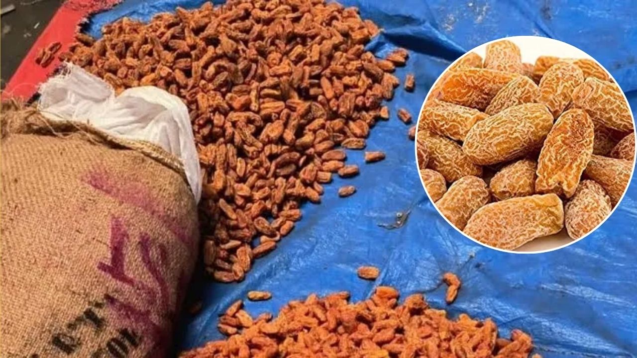 गुग्गुल राल के बाद पाकिस्तानी खजूर खपाने की कोशिश नाकाम, DRI ने गुजरात से 3 करोड़ का सूखा खजूर पकड़ा