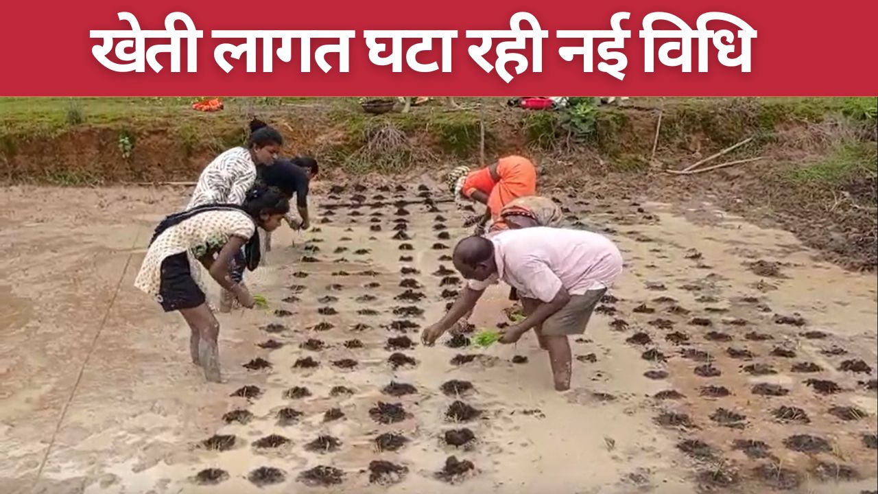 वर्मी मैट्रिक्स ग्रिड से धान की खेती में क्रांति, लागत 50 फीसदी घटी और पैदावार 100 क्विंटल के पार