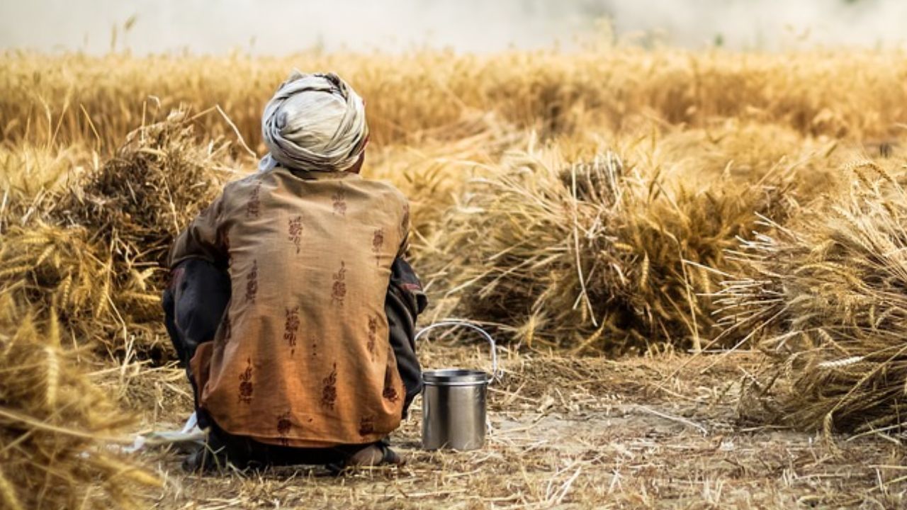 Two Farmers Consumed Poison In The Presence Of District Magistrate During A Public Hearing In Kendrapara Odisha Over Crop Damage Issue