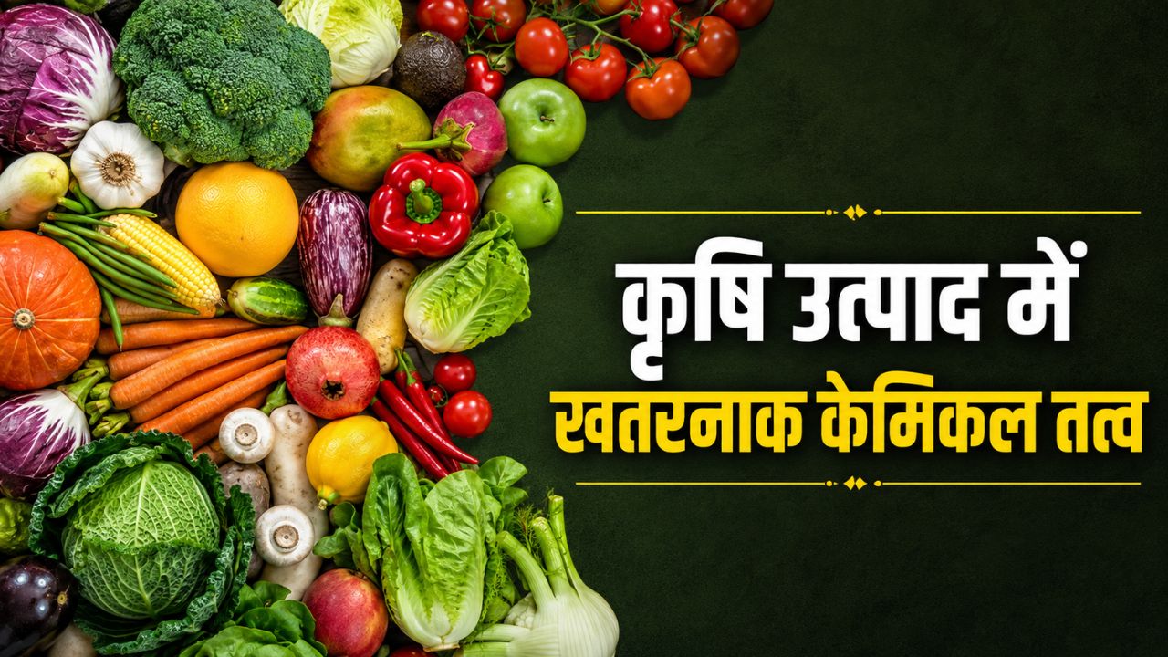 Pesticide Levels In Fruits And Vegetables Found To Exceed Prescribed Limits Govt Reveals Fssai Findings From Testing Of 70000 Samples