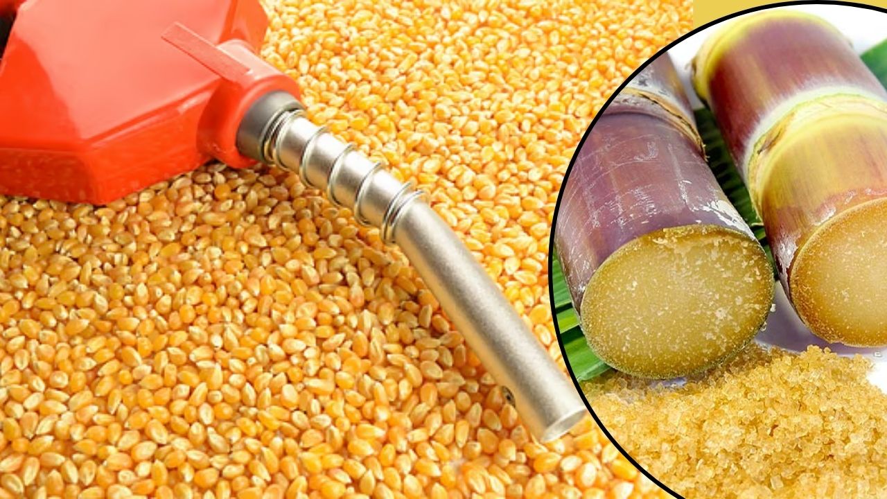 Aida Said India Ethanol Supplies Cross 800 Crore Litre Mark As Grain Based Share Rises To 76 Pc In July