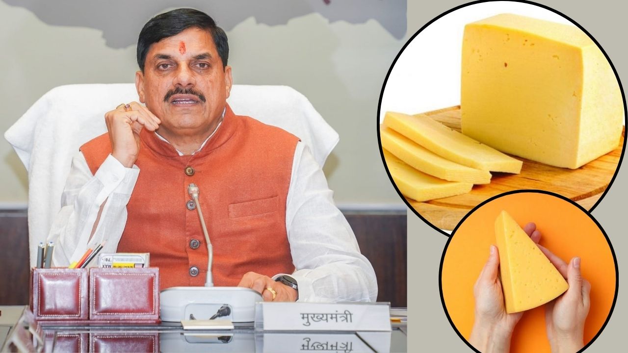 Madhya Pradesh Announces Ban On Analogue Cheese Why Are Govt Cracking Down On This Product
