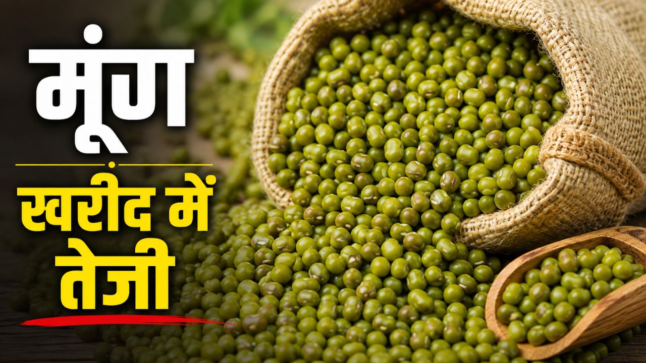 Madhya Pradesh Moong Moong Procurement Target 75 Pc Completed Slot Booking Deadline Extended For Farmers