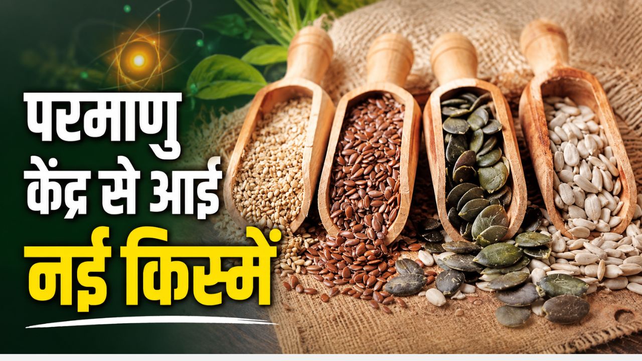 Bhabha Atomic Research Centre Developed 72 Improved Varieties Of 15 Crops Using Radiation Technology For Seed Breeding