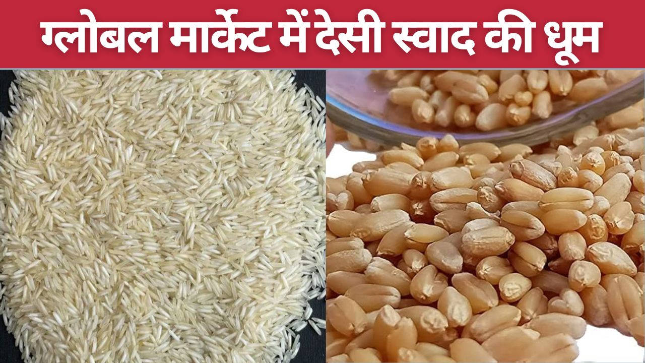 Raisen Farmers Earned Rs 1800 Crore From Sale Of Basmati Rice And Sharbati Wheat In Global Market And Reached 47 Countries