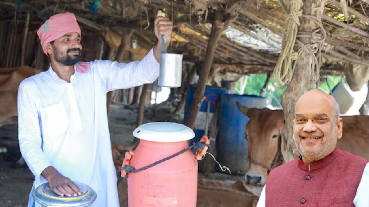 Rajasthan Alwar Dairy Farmers Get New Milk Plant Amit Shah Present Feed Plant For Nutritious Animal Feed Production And Many Schemes Launches