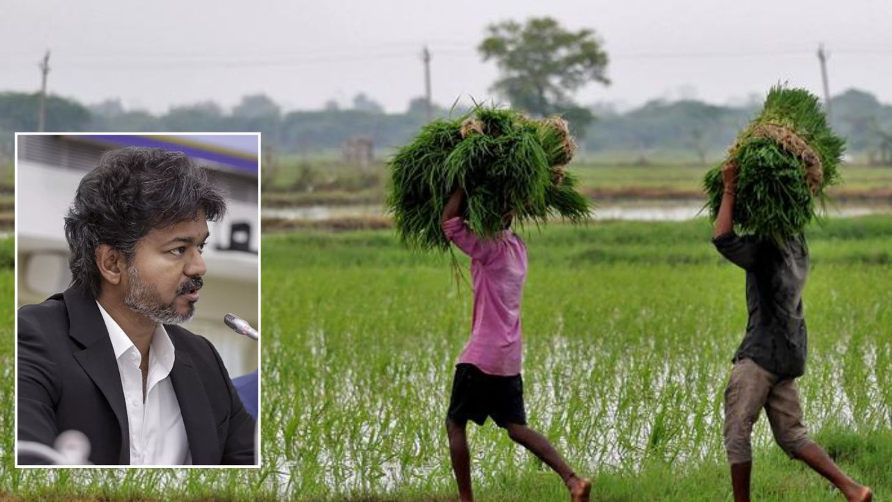 Tamil Nadu Cm Vijay Announces Full Waiver On Farm Loans Of Rs 75000 Check Details