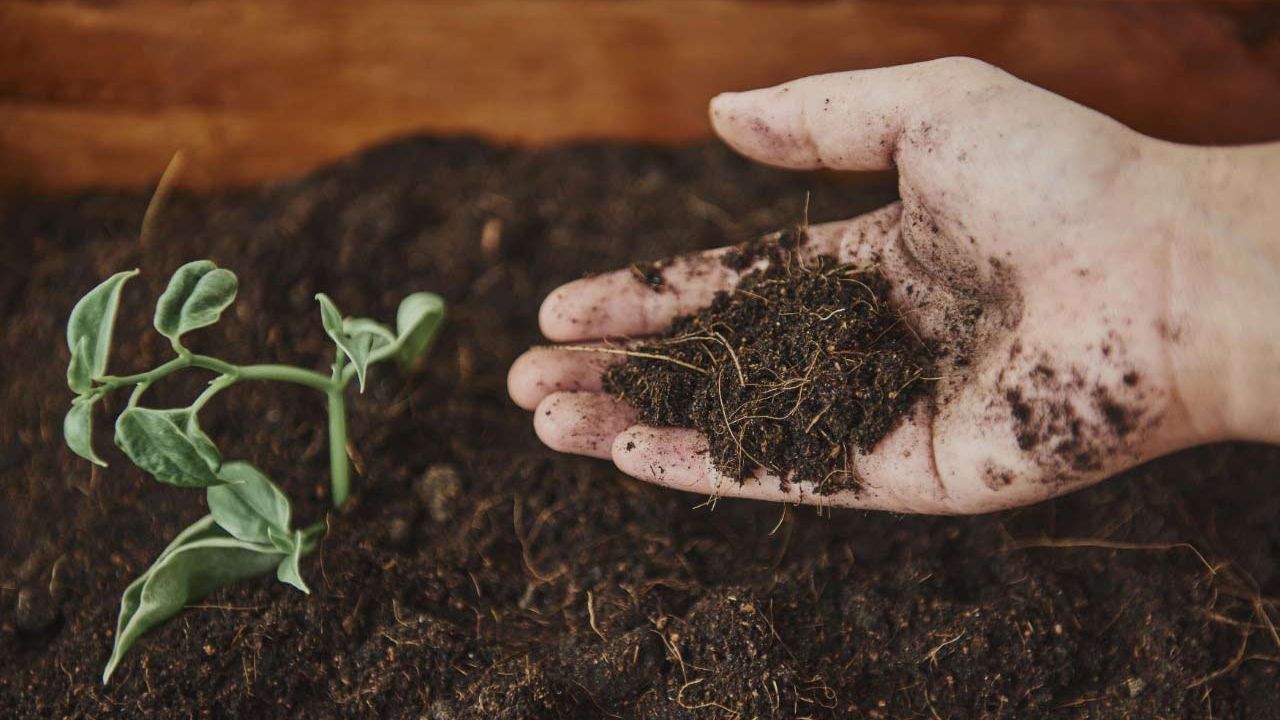 Parijat Industries And Helm Partner To Expand Crop Protection And Agri Input Solutions