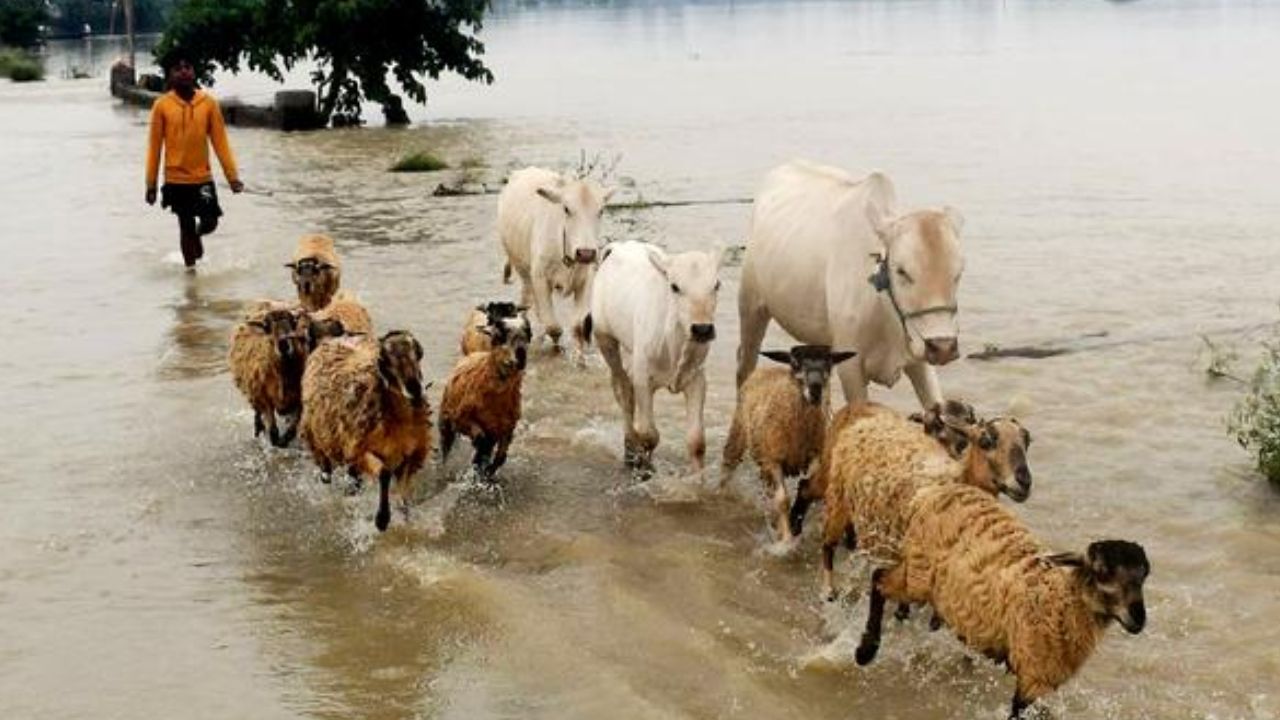Assam Govt Released Flood Relief Funds Over 31000 Flood Affected Families And Another 1 Lakh Victims Also Receive Money