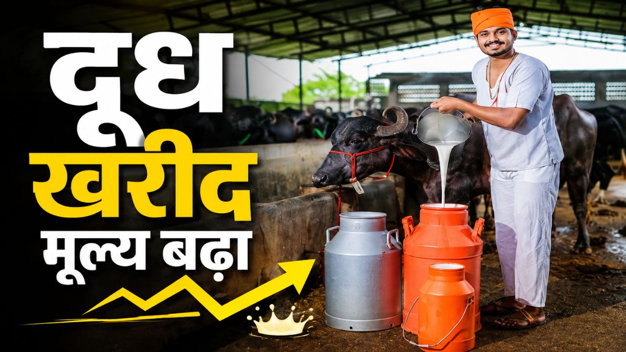 Tamil Nadu Govt Hike Milk Procurement Price Upto Rs 41 Per Ltr For 3 16 Lakh Dairy Farmers