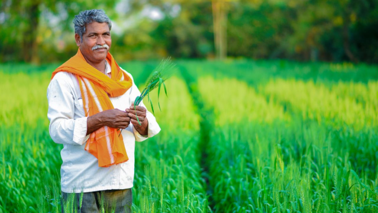 Farmer Id Campaign Started Farmers Last Chance To Make Farmer Id To Get All Agriculture Schemes Benefits Check Mp Bihar Haryana Updates