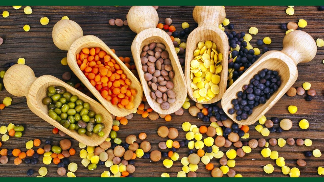 Pulse Production Jump Of 31 Kg Per Hectare Also Acreage Increased And Imports Reduced 12 Lakh Metric Ton Said Agriculture Ministry