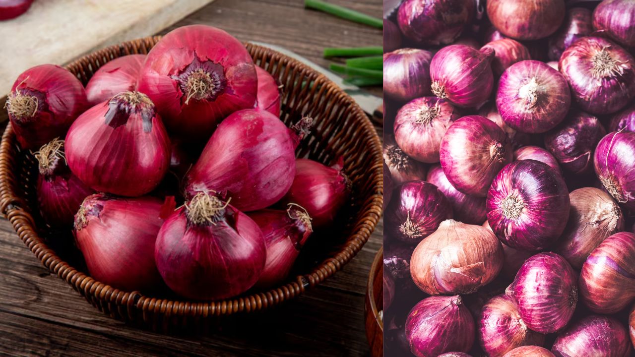 Govt Decide To Onion Sale On Rs 35 Per Kg In View Of Price Hike Subsidized Onions Price