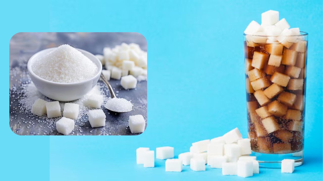 Ex Mill Sugar Prices Fell By 18 To Rs 55 Per Kg And Check Latest Sugar Retail Price And Wholesale Rates