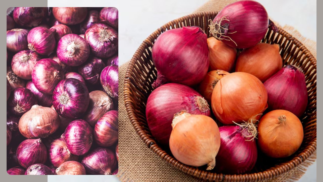 Onion Price Hike Assam Tamil Nadu And Maharashtra To Resolve Delhi Onion Crisis Government To Sell At Half Price
